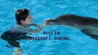 Biografía Animal  DELFÍN [upl. by Gunner]