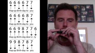 How to play Happy Birthday on Harmonica [upl. by Miche284]