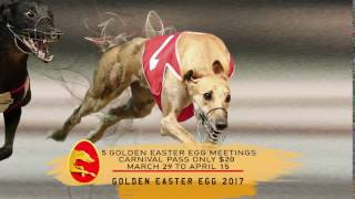 2017 Ladbrokes Golden Easter Egg [upl. by Zaslow]