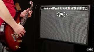 Peavey Electronics  Special Chorus 212 Guitar Amplifier [upl. by Nilam]