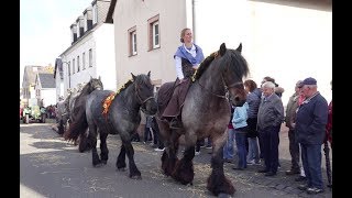 Historisches Erntedankfest in Blankenheim Dollendorf 01102017 [upl. by Nyladnor]