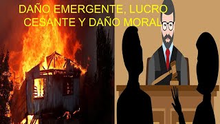 DAÑO EMERGENTE LUCRO CESANTE Y DAÑO MORAL [upl. by Uhile]