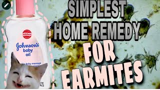 SIMPLE HOME REMEDY FOR EARMITES USING BABY OIL Earmites BabyoilforEarmites [upl. by Nussbaum60]