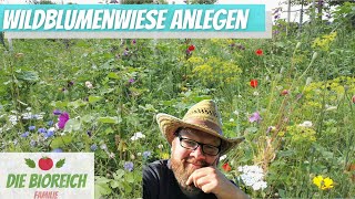 Wildblumenwiese anlegen  so gelingt es [upl. by Chenay]