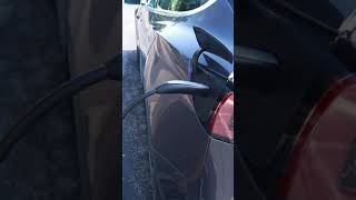 Manually release your Tesla Charge Port  Tesla Tip Tuesday shorts [upl. by Asiole]