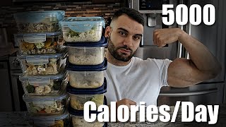 5000 Calorie Meal Plan  Weight Gain Diet  Skinny Boy Solutions [upl. by Odlopoel136]