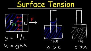 Pressure and the simple mercury barometer  Physical Processes  MCAT  Khan Academy [upl. by Eetse267]