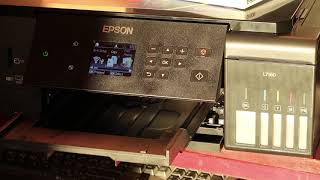 Epson L7160 print 10x15 [upl. by Otanod]