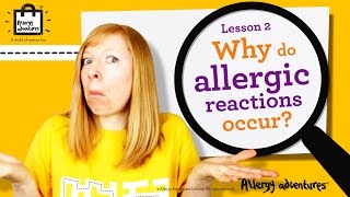 Lesson 2 Why do allergic reactions occur Allergy Adventures Workshop for schools [upl. by Wiersma]