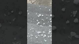 Sleet in Alabama [upl. by Nath556]