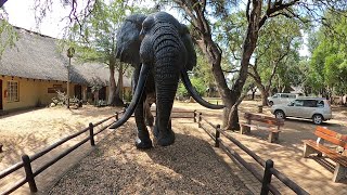 Letaba Camp  Kruger National Park  South Africa [upl. by Athena822]