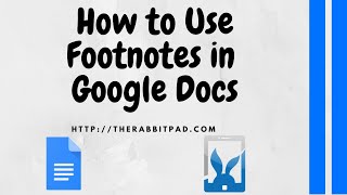 How to Add Footnotes in Google Docs [upl. by Dlonyer]