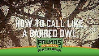 How to Owl Hoot with your Mouth [upl. by Erline]