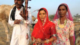 Pushkar music Rajuri and Chena Ram [upl. by Siraval]