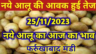 25 November 2023 नये आलू का आज का भाव फर्रुखाबाद मंडी potato Mandi rates today Aalu Mandi bhav [upl. by Wernda]