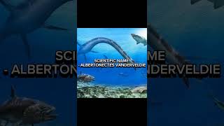 ALBERTONECTES EXTINCT INFORMATION  extinct animals information shorts virals [upl. by Balthasar192]