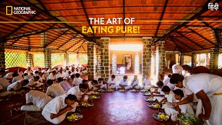 The Art of Eating Pure  India’s Mega Kitchens  National Geographic [upl. by Azenav236]