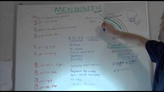 Meningitis Overview NCLEX Neuro Review  NURSINGcom NRSNGcom [upl. by Nyrroc79]