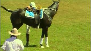 Australian Polocrosse National Championships  Sydney 2006  Intermediate Mens Final  NSW vs QLD [upl. by Gustavus869]