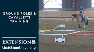 Ground Poles amp Cavalletti Training for Horses [upl. by Sparke311]