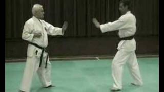 Self Defence Demo Karate ShitoRyu [upl. by Ramedlaw]