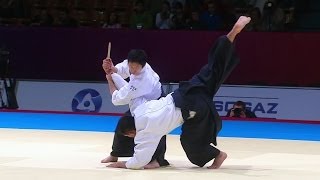 team Japan aikido demonstration  tanto [upl. by Pavia583]