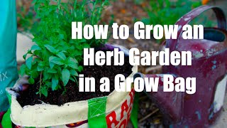 How to Grow an Herb Garden in a Grow Bag Container [upl. by Aihseket364]