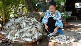 Freshwater fishes Mommy chef in countryside cooking 4 recipes with fishes  Countryside life TV [upl. by Airdnaxela731]