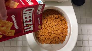 Will it Flush  Cheez It Crackers [upl. by Frannie]