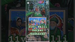 11vi wali sarkar gouspak sarkar dargah 2024 live [upl. by Nocaed545]