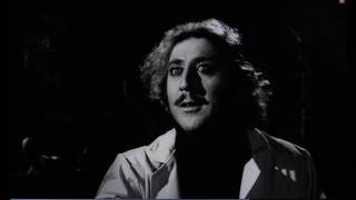 Young Frankenstein  Hello Handsome [upl. by Tews]