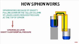 How siphon works [upl. by Alah]