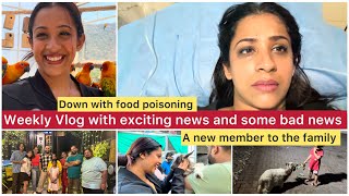 Weekly Vlog  unexpected news  Sowbhagya Venkitesh [upl. by Valeda]