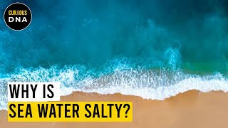 Why there is salt in the ocean [upl. by Dlanger546]