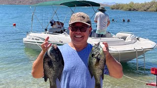 Catching Redear Sunfish at Lake Havasu [upl. by Sisak]