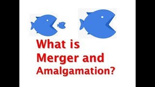 Mergers and Amalgamations of Companies [upl. by Aicnorev954]