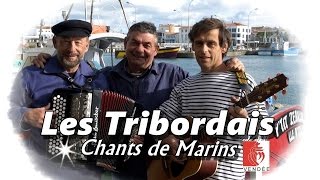 LES TRIBORDAIS Mon ptit garçon Chant de Marin [upl. by Asinet]