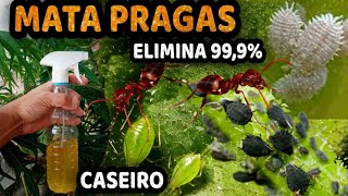 MATE TODAS AS PRAGAS DAS SUAS PLANTAS com Este Inseticida Caseiro Eficaz [upl. by Raymund]