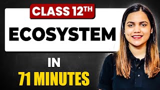 ECOSYSTEM in 71 Minutes  Biology Chapter 14  Full Chapter Revision Class 12th [upl. by Iy211]