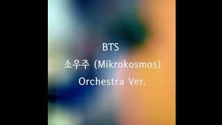 편곡BTS  소우주Mikrokosmos orchestra ver instrumental [upl. by Eissoj]