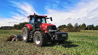 ☆ Nowe Nabytki 2020 ☆Case Puma 200 amp Talerzówka AgroLift ☆  Gr Słoniewski [upl. by Elston]