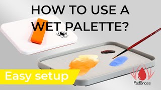 How to use a wet palette [upl. by Gnat]