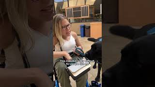 Ableism Disabled Disability Dwarfism Wheelchair Educating Education Mobility Prosthesis [upl. by Yedarb]