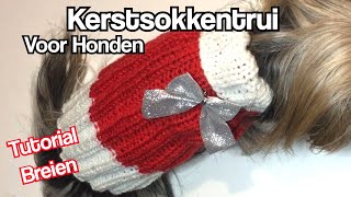 Kerstsokkentrui Voor Honden Tutorial Nederlands [upl. by Alyose]