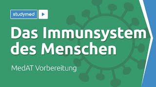 Das Immunsystem des Menschen  MedAT Vorbereitung [upl. by Enidan366]