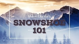 Snowshoe 101 Frequently Asked Questions About Snowshoeing [upl. by Nylyram]