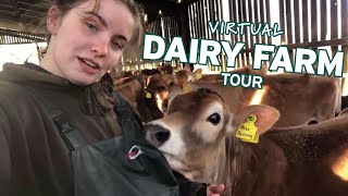 A Virtual Tour Of A Dairy Farm In Biggar Scotland Part 1 [upl. by Kaslik]