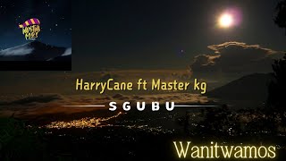 HarryCane ft Master kg  Sgubu  offucial Hit Maker [upl. by Adil]