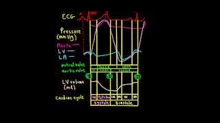 Schneid Guide to Wiggers Diagram [upl. by Anyad972]