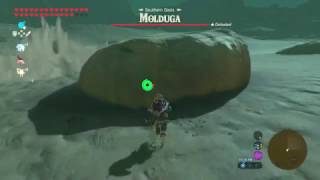 Zelda Breath of the Wild  Where to find all 4 Moldugas [upl. by Onifur772]